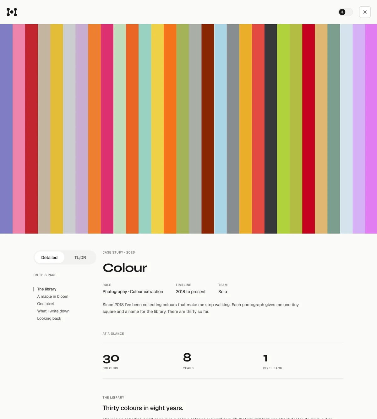 Colour case study using a vibrant striped hero within the shared portfolio system